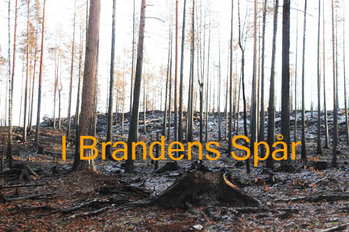 I brandens spår