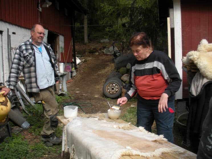 Skinngarvning (41) Skinngarvning (41)